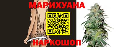 прущие крисы Кингисепп