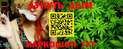 сатива Кимры