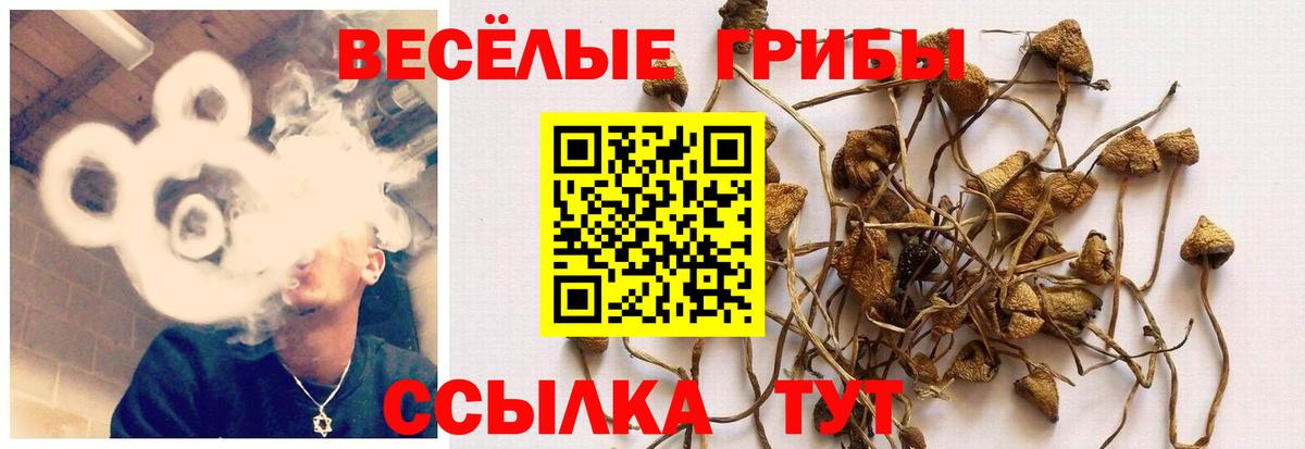 Лесной  Галлюциногенные грибы Magic Shrooms  где купить наркотик  Вход с VPN  Псилоцибиновые грибы ЛСД 